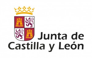 Junta-de-Castilla-y-Len