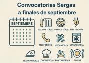 Profesiones de gestión y servici