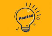 Pautas examen
