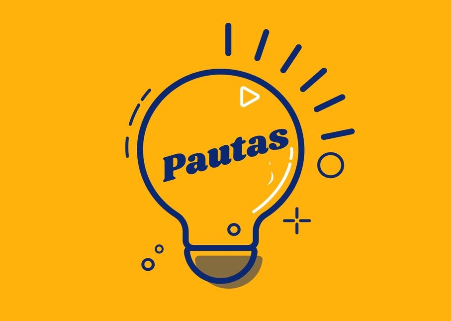 Pautas examen