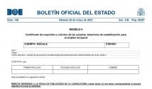 Modelo 6