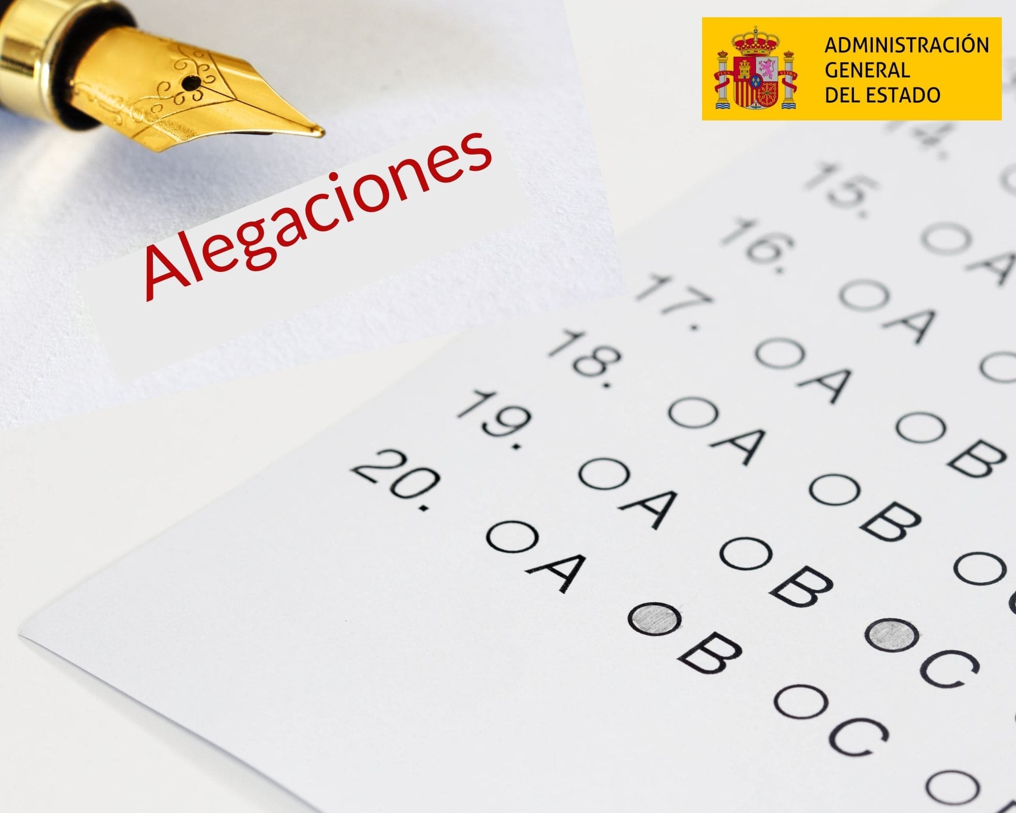 Presentación de alegaciones