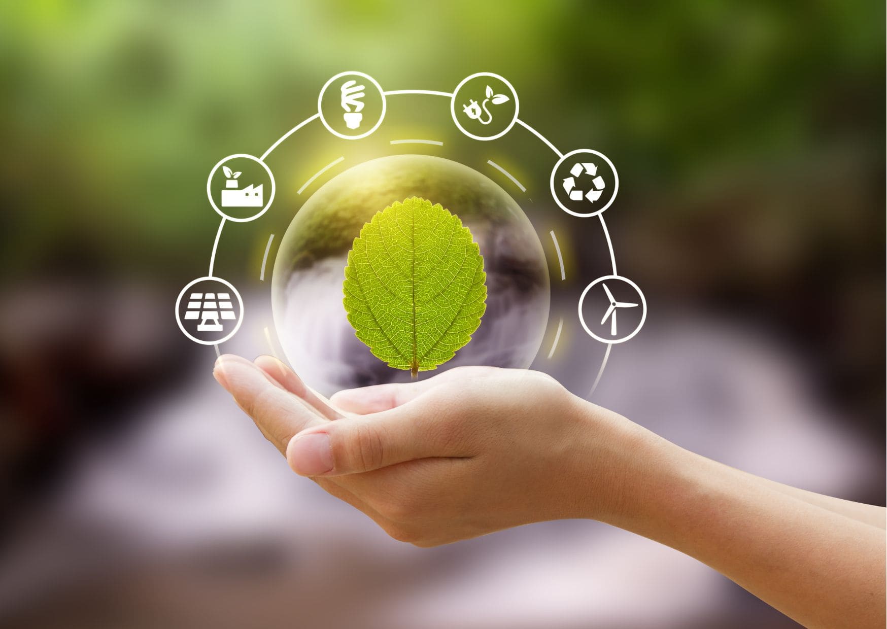 Gestión ambiental