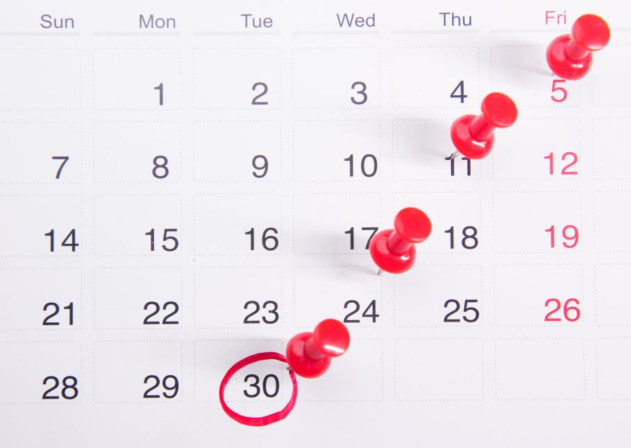 Calendario